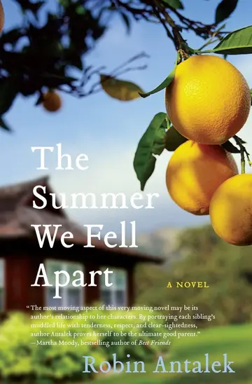 Cover of The Summer We Fell Apart