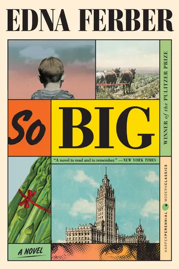 Cover of So Big