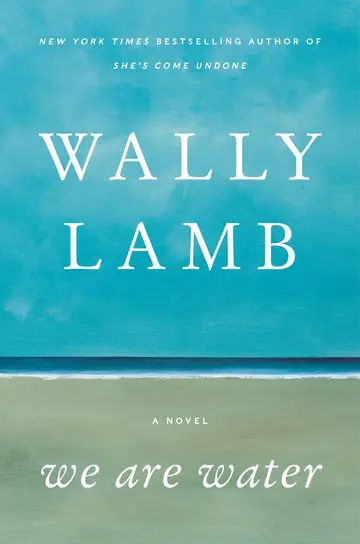 Cover of We are Water