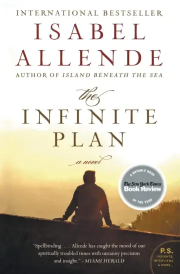 Cover of The Infinite Plan
