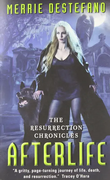 Cover of Afterlife