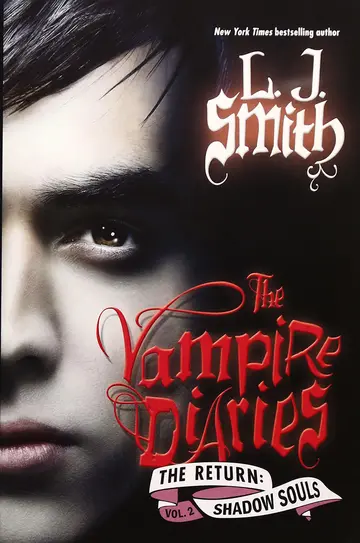 Cover of Vampire Diaries