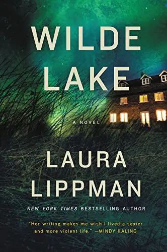 Cover of Wilde Lake