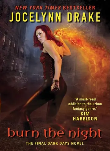 Cover of Burn the Night