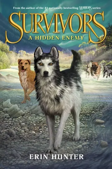 Cover of A Hidden Enemy