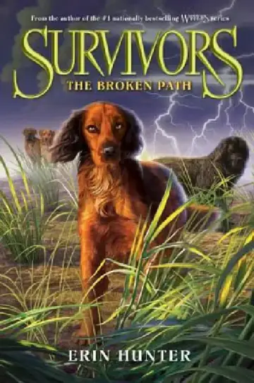 Cover of The Broken Path
