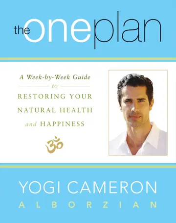 Cover of The One Plan