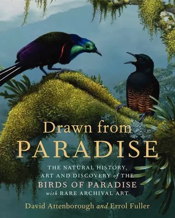 Cover of Drawn from Paradis