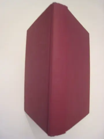 Cover of Faking Normal