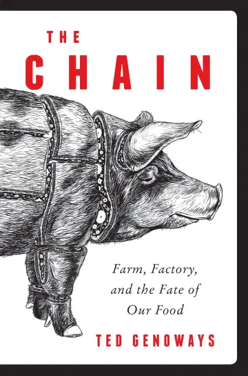Cover of The Chain