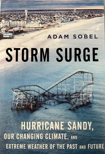 Cover of Storm Surge