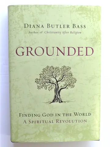 Cover of Grounded
