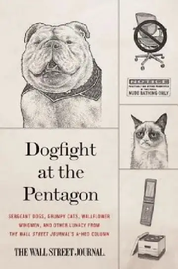 Cover of Dogfight at the Pentagon