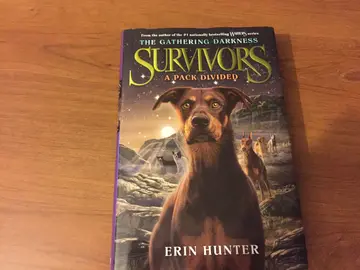 Cover of A Pack Divided