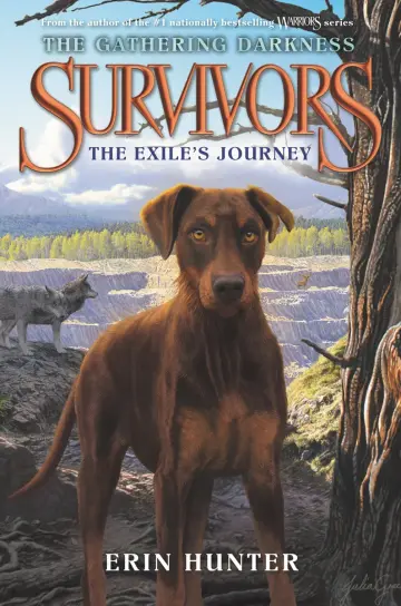 Cover of Survivors
