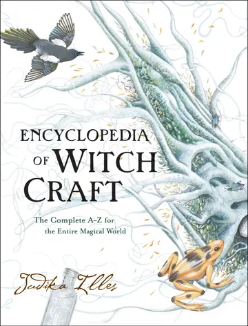 Cover of Ency of Witchcraft