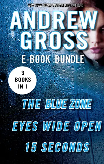 Cover of The Andrew Gross Thriller