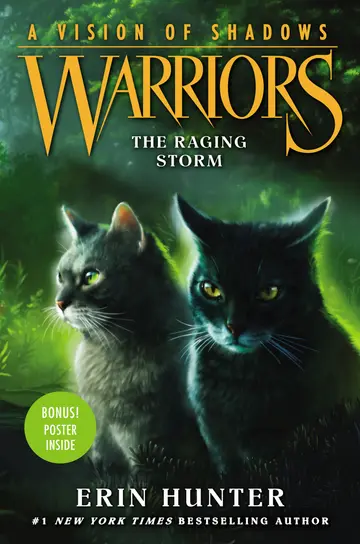 Cover of Warriors