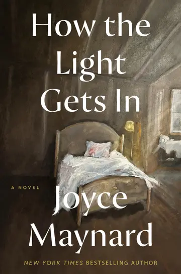 Cover of How the Light Gets in
