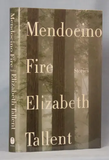 Cover of Mendocino Fire