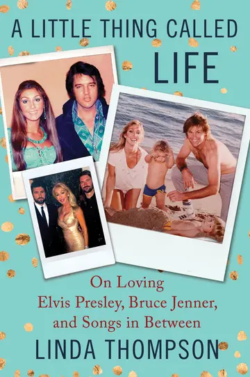 Cover of A Little Thing Called Life