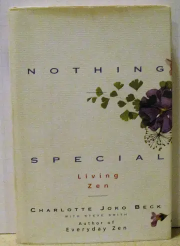 Cover of Nothing Special