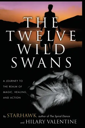 Cover of The Twelve Wild Swans