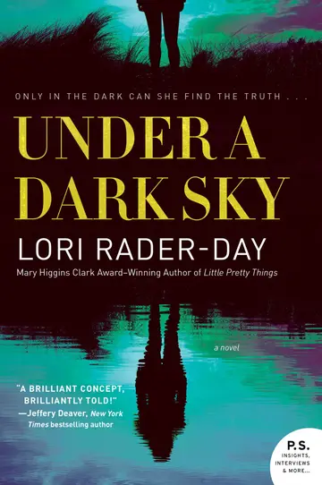 Cover of Under a Dark Sky