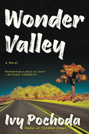 Cover of Wonder Valley