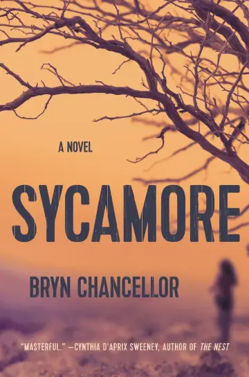 Cover of Sycamore