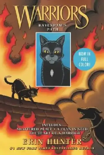 Cover of Warriors