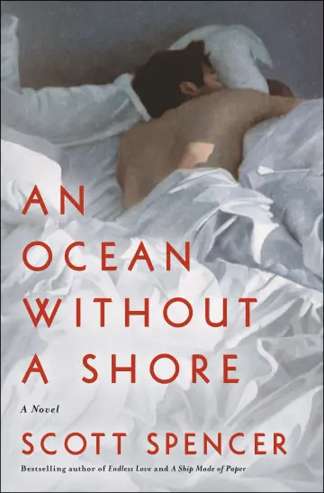 Cover of An Ocean Without a Shore
