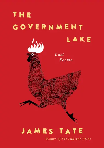 Cover of The Government Lake