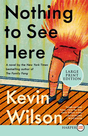 Cover of Nothing to See Here