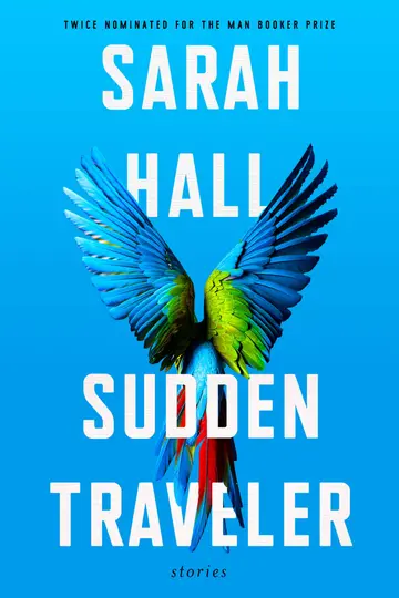 Cover of Sudden Traveler