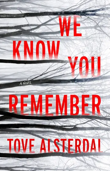 Cover of We Know You Remember