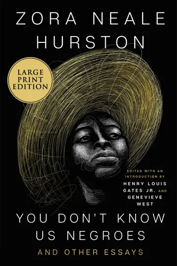 Cover of You Dont Know Us Negroes and Other Essays