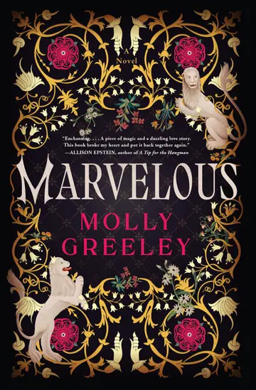 Cover of Marvelous
