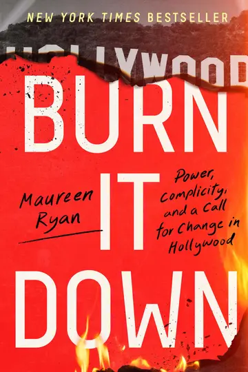 Cover of Burn It Down