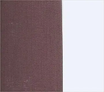 Cover of Infinite Riches