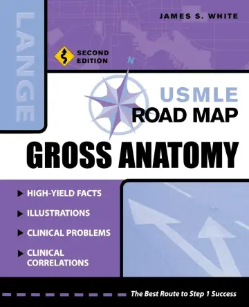 Cover of USMLE Road Map Gross Anatomy