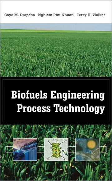 Cover of Biofuels Engineering Process Technology