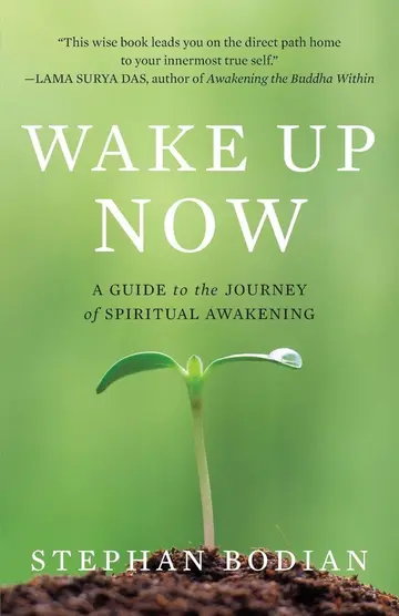 Cover of Wake up Now
