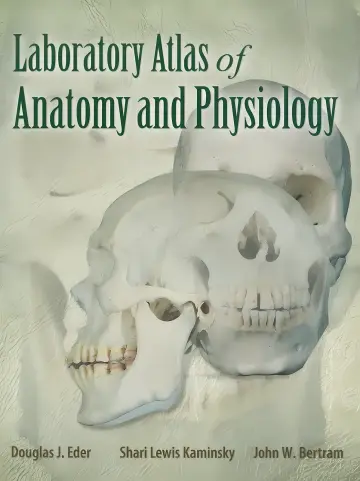 Cover of Anatomy and Physiology