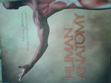Cover of Human Anatomy