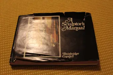 Cover of A Sculptor's Manual