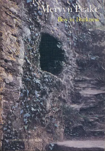 Cover of Boy in Darkness