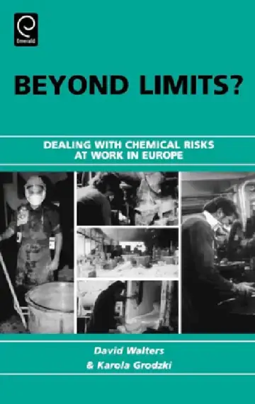 Cover of Beyond Limits?