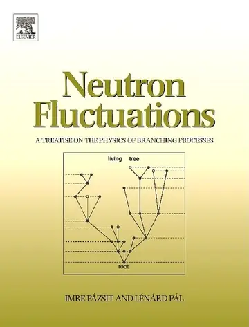 Cover of Neutron Fluctuations