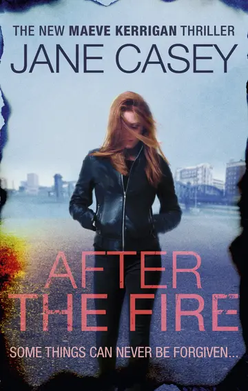 Cover of After the Fire